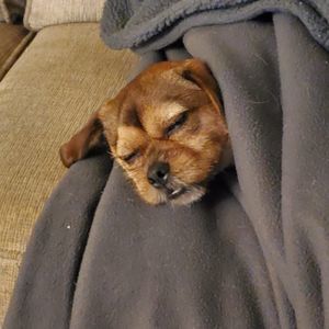 Meet your Posher, Chad